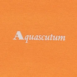 Aquascutum Logo Polo Shirt - Rust 6 Aquascutum Logo Polo Shirt - Rust -Lacoste Cloth Shop aquascutum logo polo shirt rust p61232 908371 image