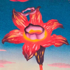 Edwin Hana No Shita Short Sleeve Shirt - Multi -Lacoste Cloth Shop edwin hana no shita short sleeve shirt multi p58390 852867 image