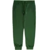 None Of The Above Henry Track Pants - Kelly Green